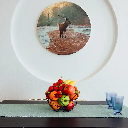 Magnet Boardinghouse Aparthotel Schkeuditz