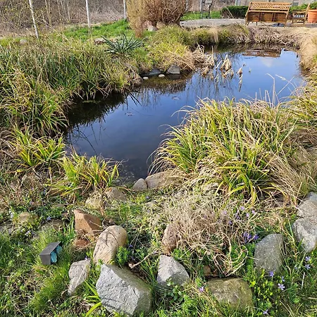 Апарт-отель Magnet Boardinghouse