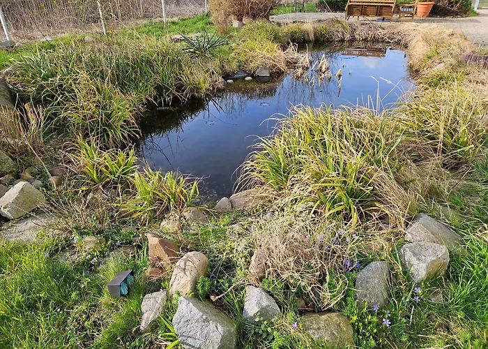 Apartahotel Magnet Boardinghouse